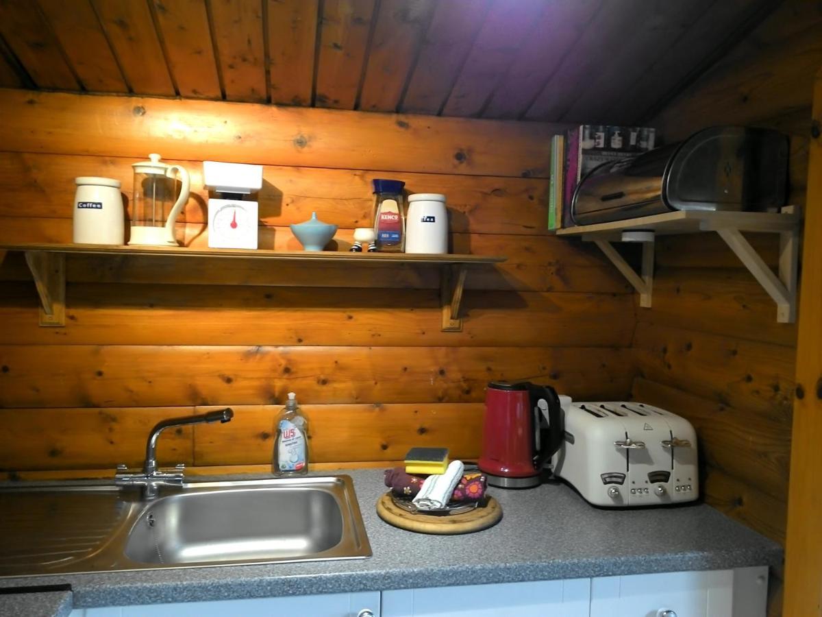 Trawsfynydd Shifty Chicken Shackヴィラ エクステリア 写真